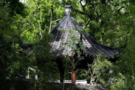 The Secret Forest Tree Pavilion: A Mirror to Nature's Soul
