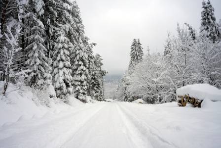 6 Thrilling US Destinations for Your Next Off-Road 4x4 Adventure