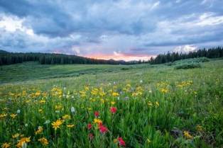 The Splendor of Nature's Transformative Seasons: A Journey Through the Four Cycles