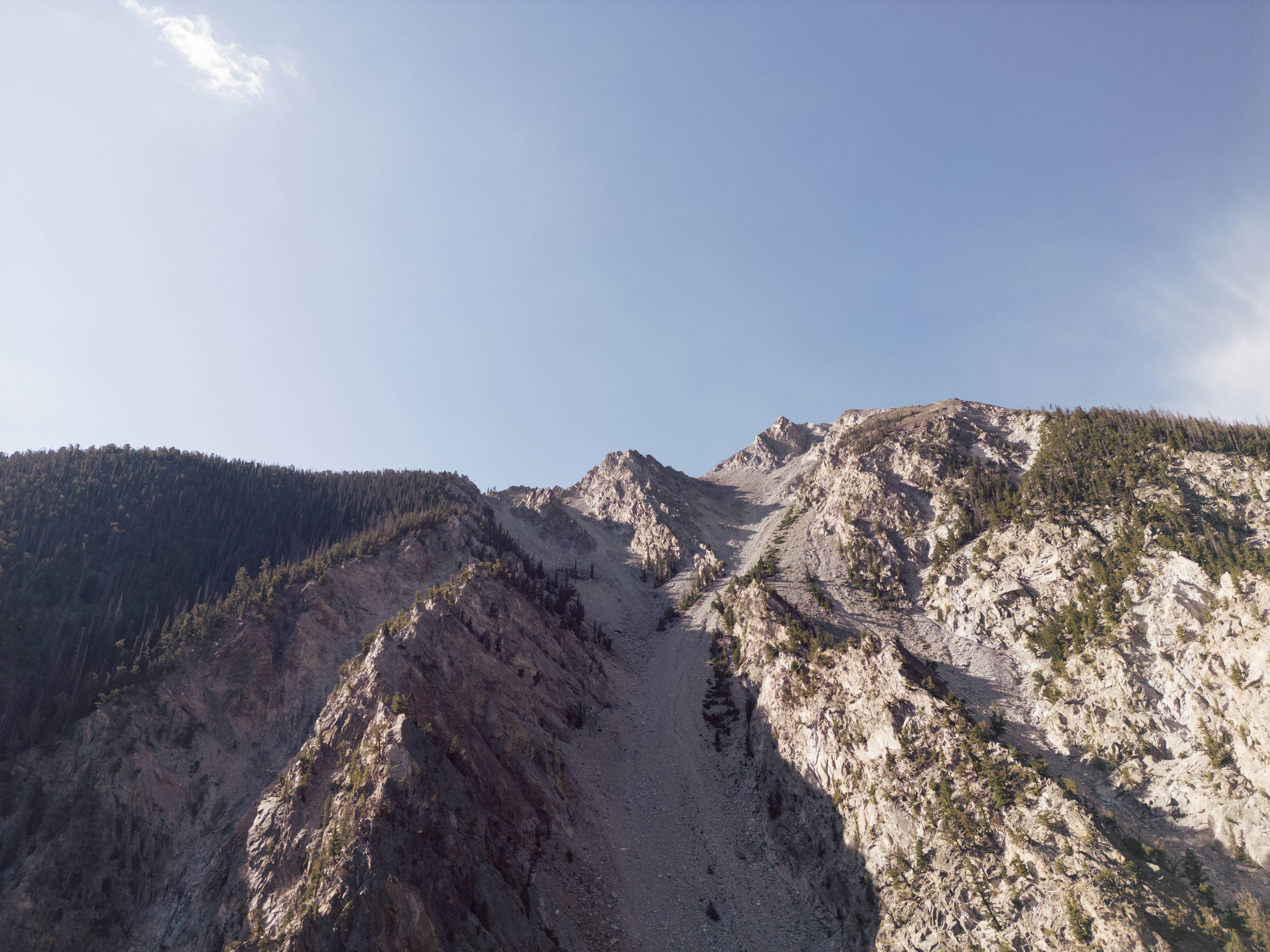 a rocky mountain with trees