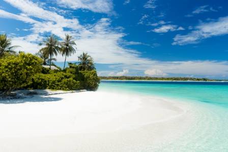 Unlocking the Therapeutic Secrets of the Sea: Scientifically Validated Reasons for Seaside Bliss