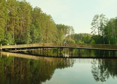 Top 6 Breathtaking Living Root Bridges in Remote Forests