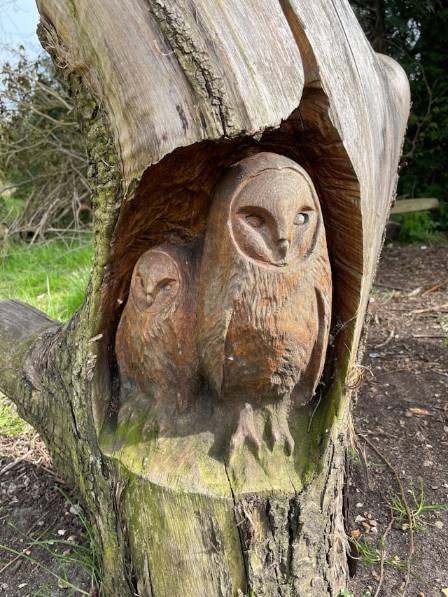 Art of the Dead: Rome’s Trees Reborn as Sculptures