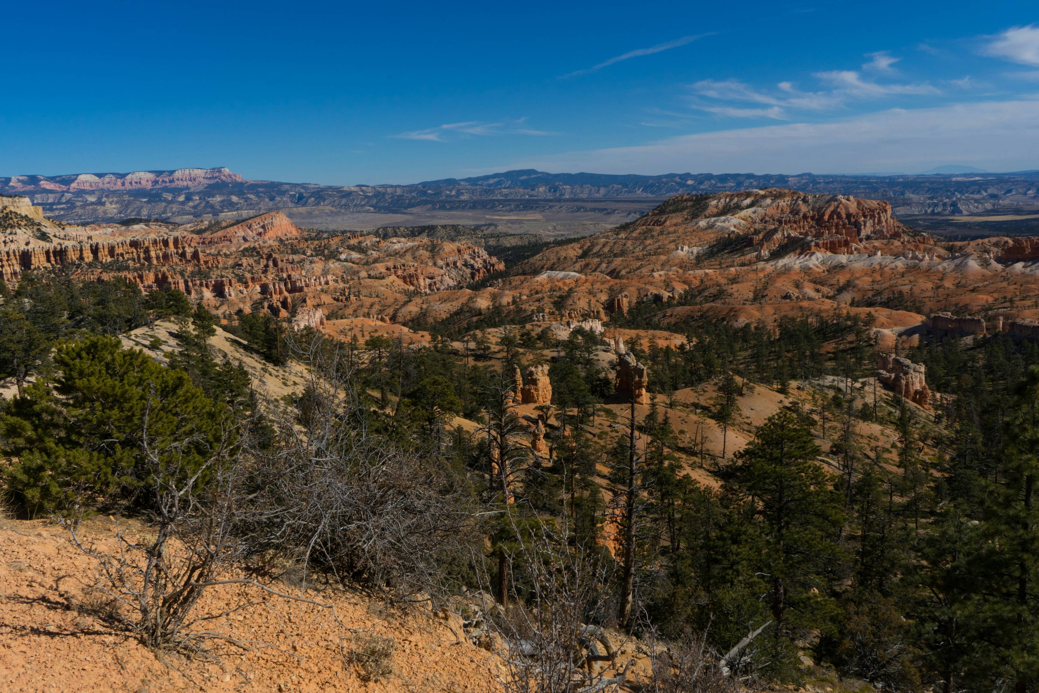 A scenic view of a valley with mountains in the background