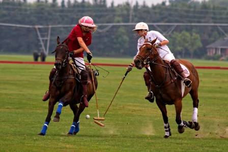 The Most Prestigious Polo Tournaments in the World & Their History