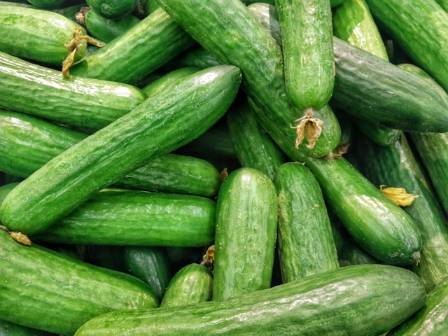 6 Health Benefits of Eating Cucumber You Should Know