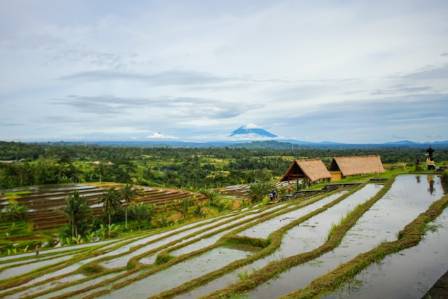8 Most Breathtaking Rice Terraces